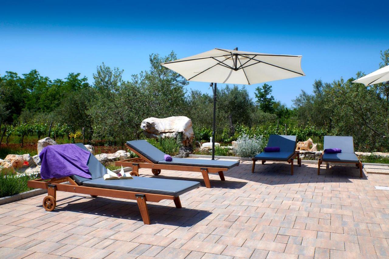 فيلا Relax House Surrounded By Olives And Vineyard Stifanići المظهر الخارجي الصورة
