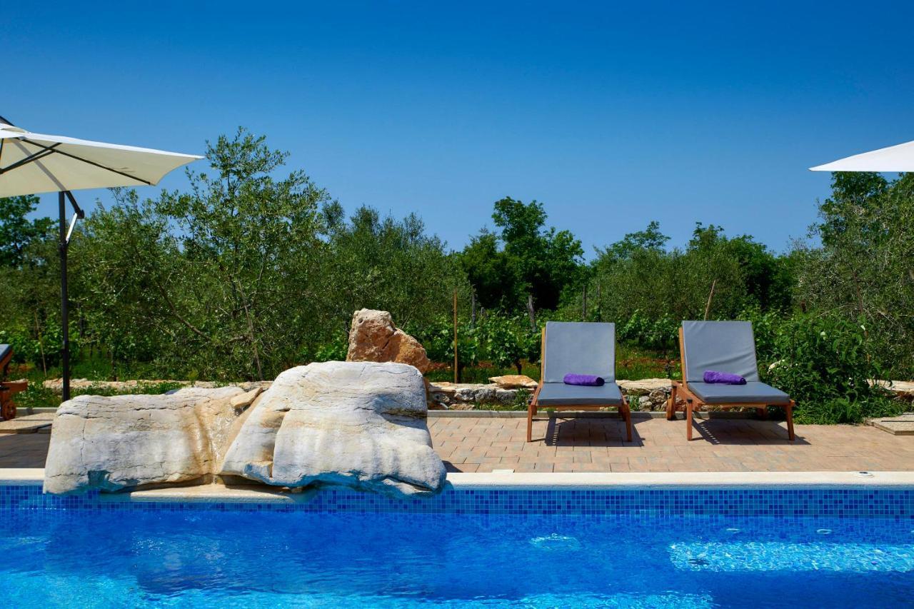 فيلا Relax House Surrounded By Olives And Vineyard Stifanići المظهر الخارجي الصورة
