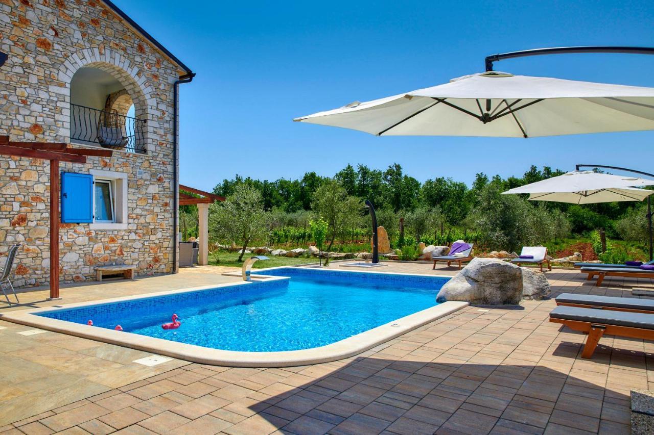 فيلا Relax House Surrounded By Olives And Vineyard Stifanići المظهر الخارجي الصورة