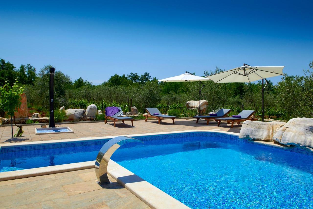 فيلا Relax House Surrounded By Olives And Vineyard Stifanići المظهر الخارجي الصورة