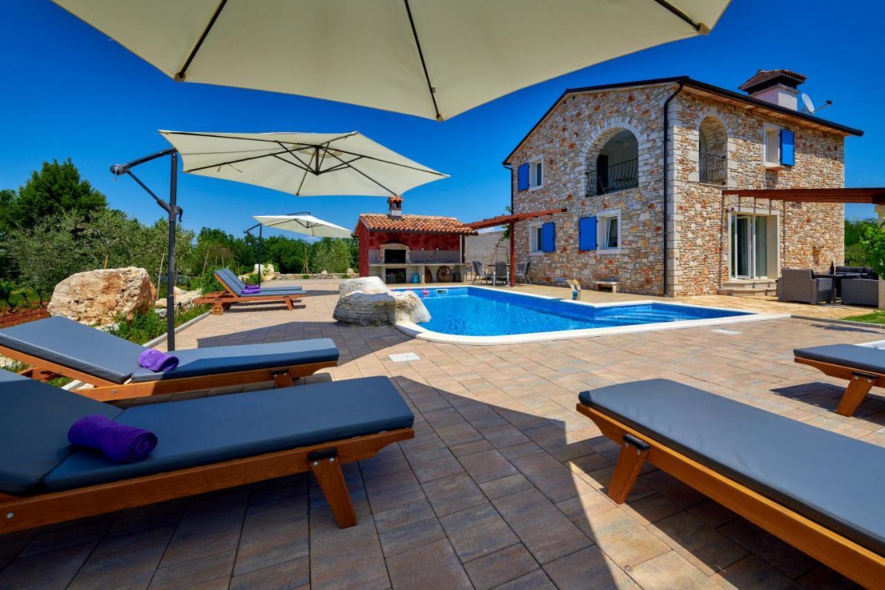 فيلا Relax House Surrounded By Olives And Vineyard Stifanići المظهر الخارجي الصورة