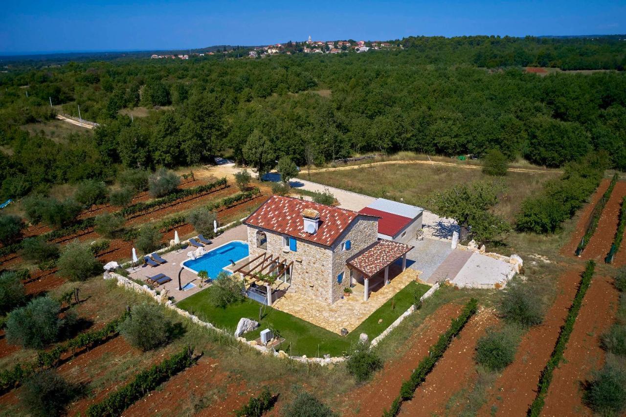 فيلا Relax House Surrounded By Olives And Vineyard Stifanići المظهر الخارجي الصورة