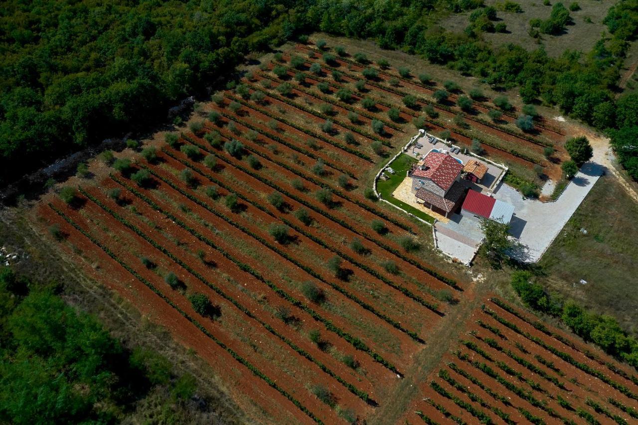 فيلا Relax House Surrounded By Olives And Vineyard Stifanići المظهر الخارجي الصورة