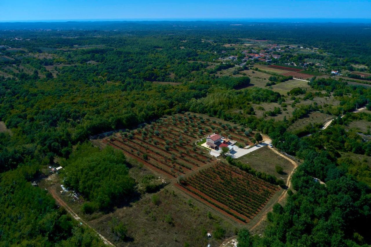 فيلا Relax House Surrounded By Olives And Vineyard Stifanići المظهر الخارجي الصورة